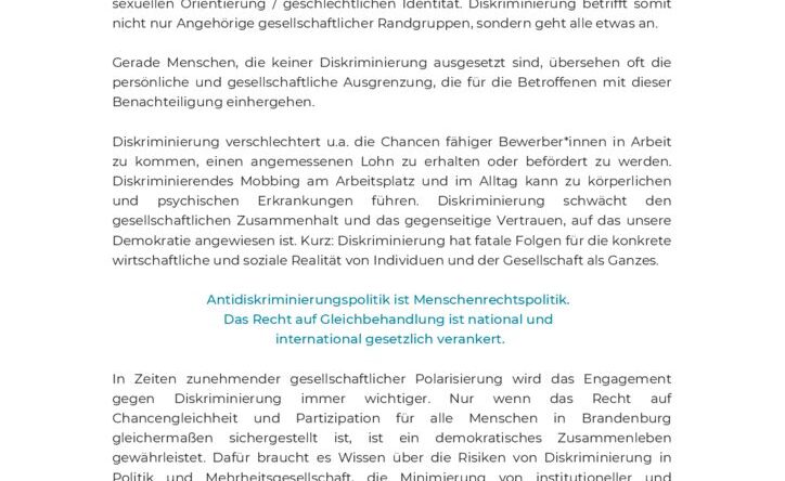 thumbnail of impulse_antidiskriminierungspolitik_bbg_web